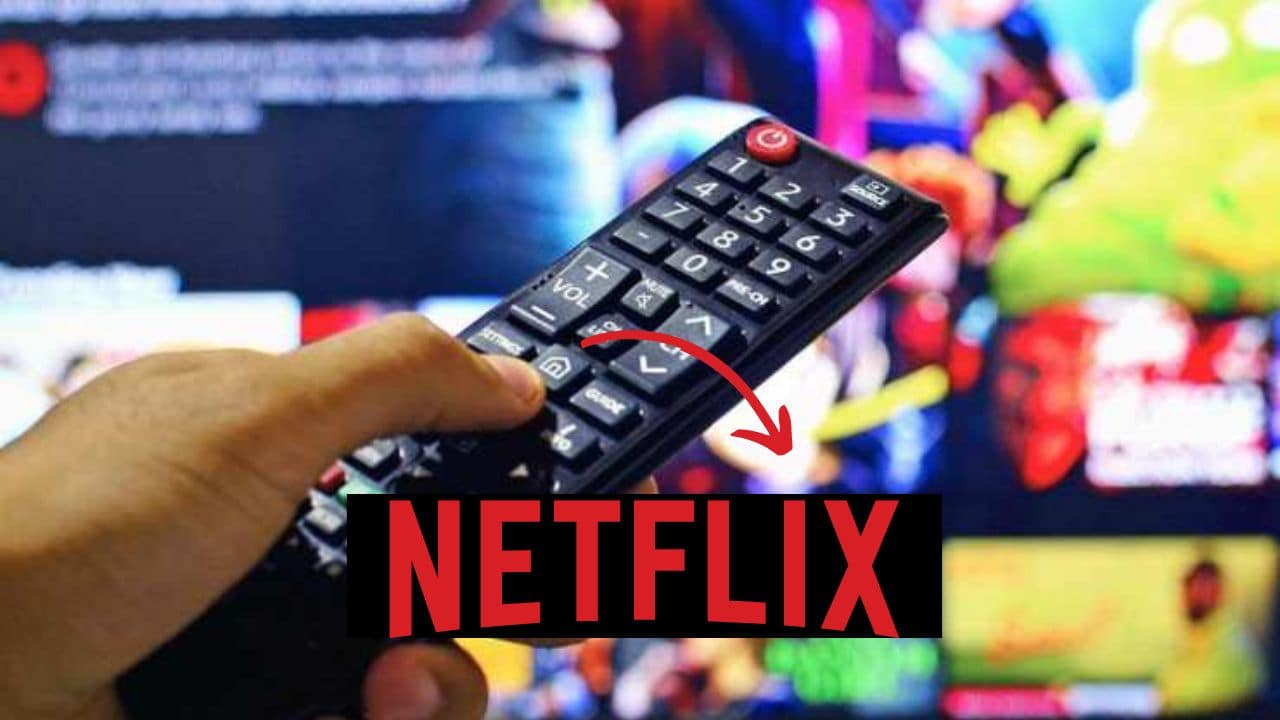 netflix novità novembre 2022