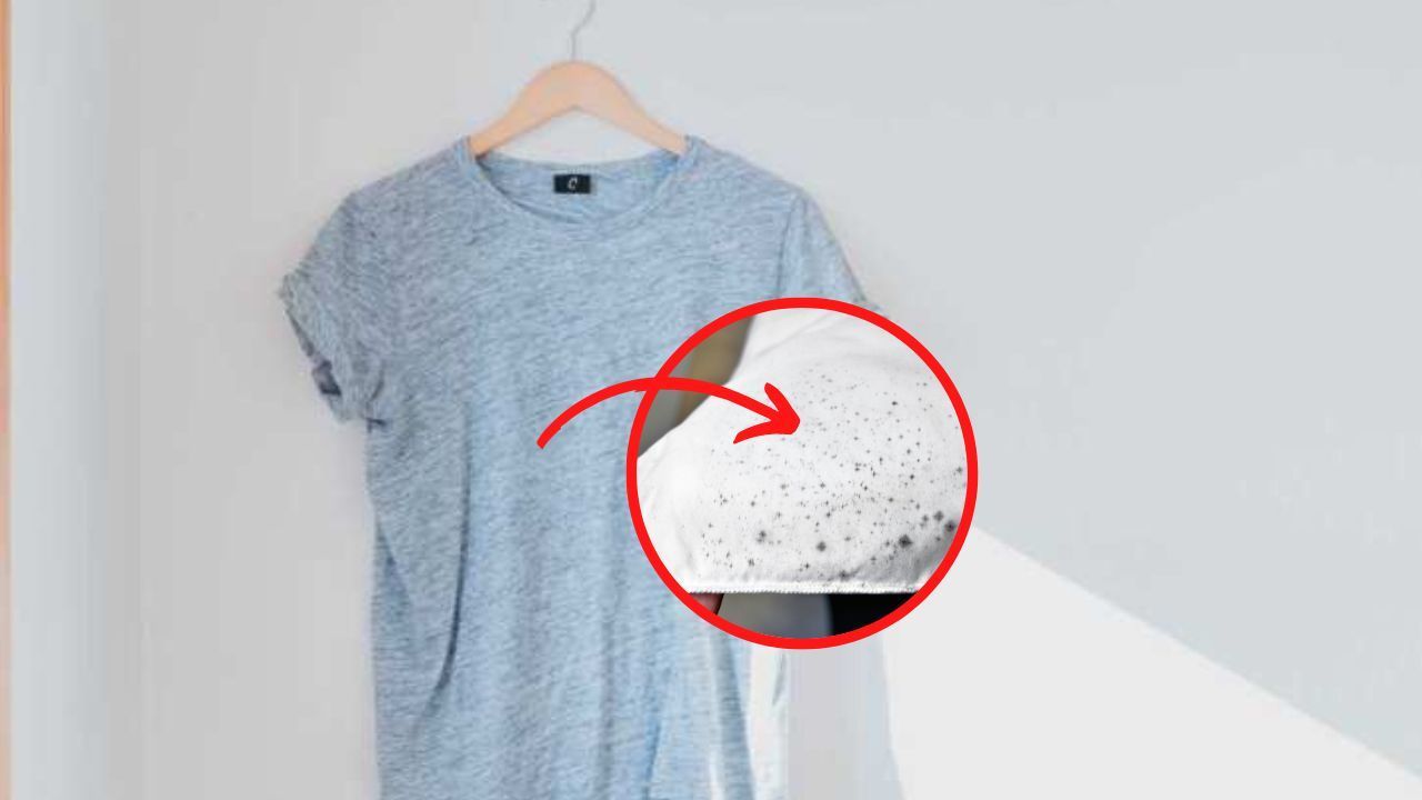 muffa vestiti come levarla