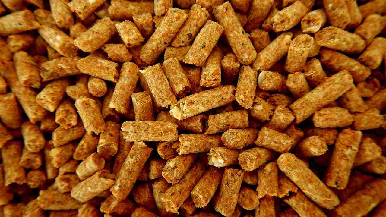 pellet online sicuro